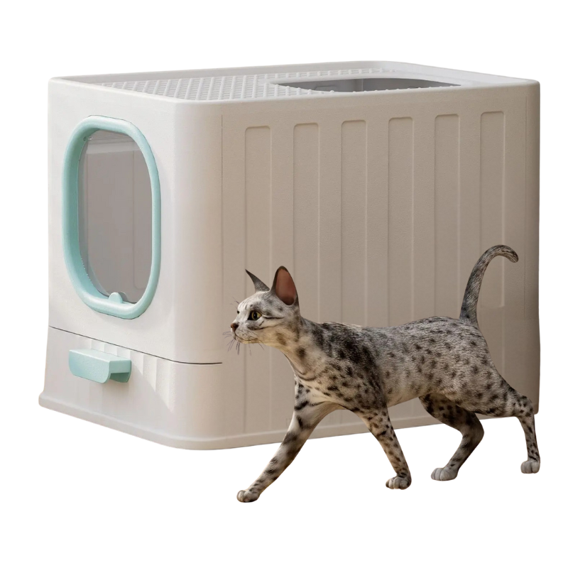 Maison de Toilette Chat Écologique