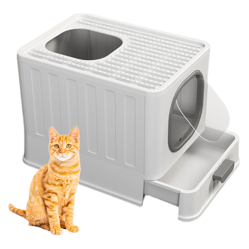 Maison de Toilette Chat Écologique