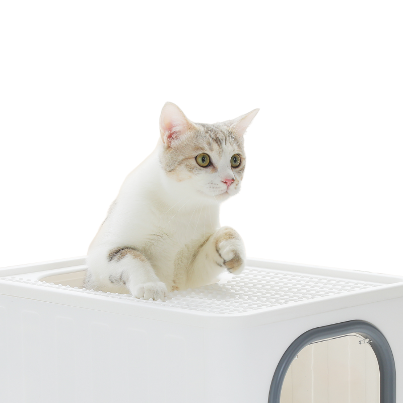 Maison de Toilette Chat Écologique