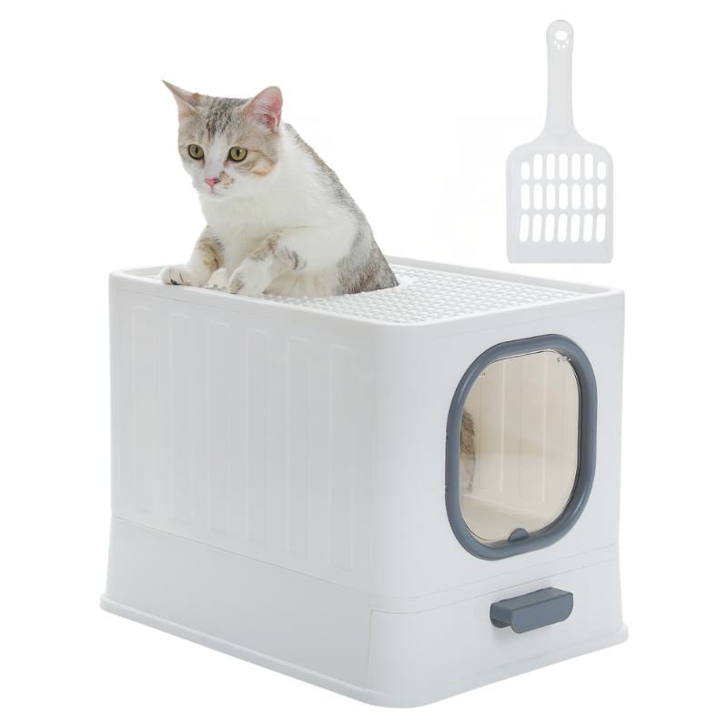 Maison de Toilette Chat Écologique