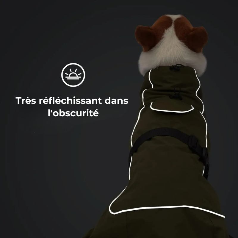 Manteau Chien Hiver Imperméable