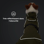 Manteau Chien Hiver Imperméable