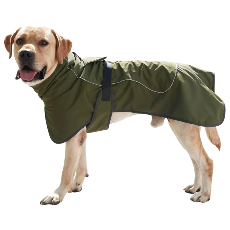 Manteau Chien Hiver Imperméable