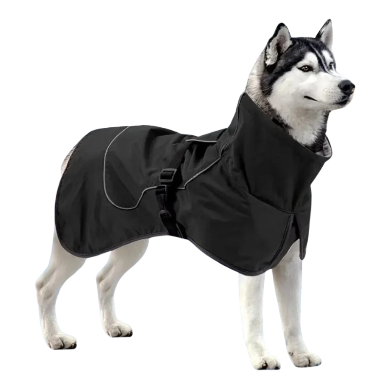 Manteau Chien Hiver Imperméable