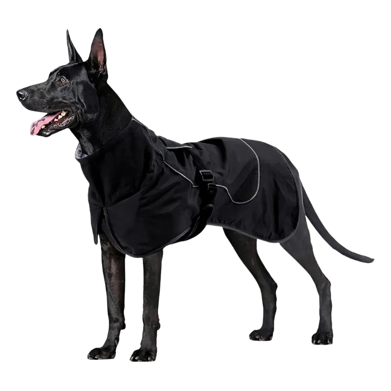 Manteau Chien Hiver Imperméable
