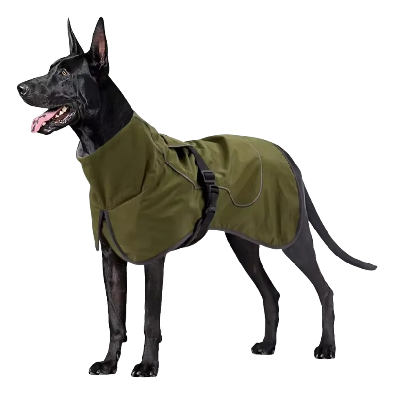 Manteau Chien Hiver Imperméable