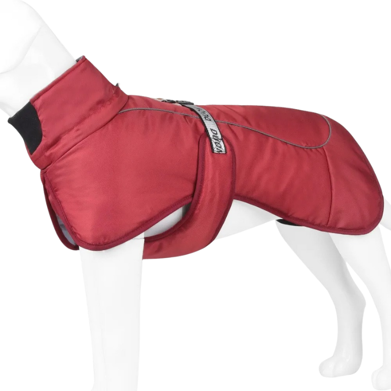 Manteau Hiver pour Grand Chien