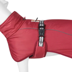 Manteau Hiver pour Grand Chien