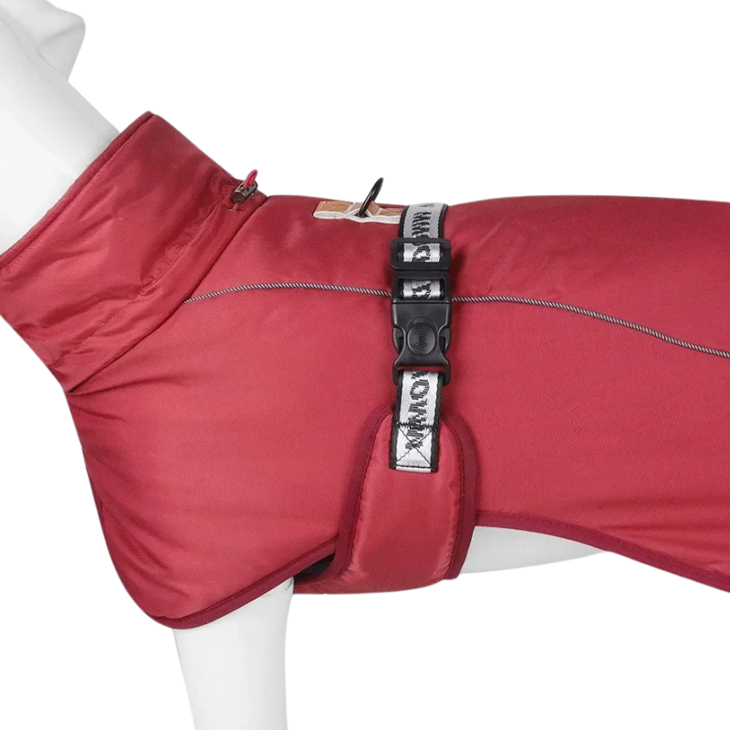 Manteau Hiver pour Grand Chien
