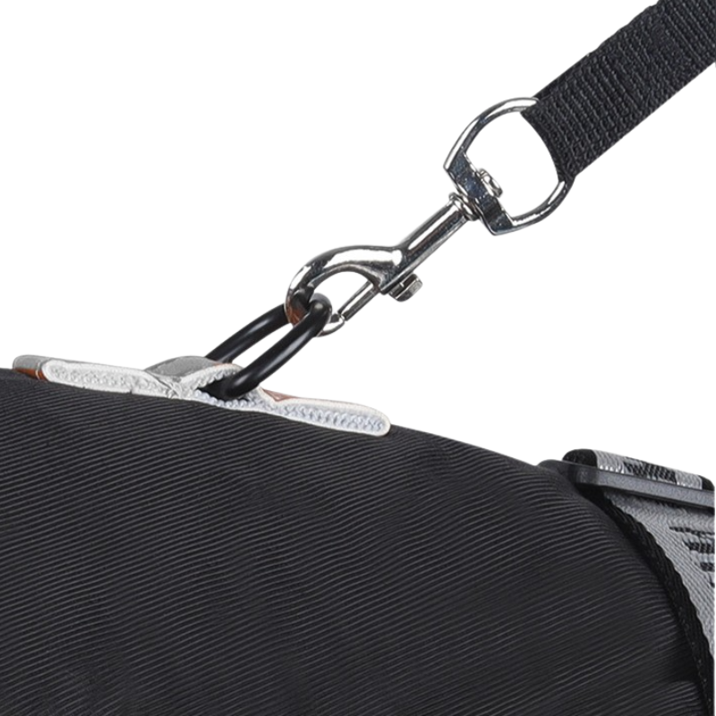 Manteau Hiver pour Grand Chien