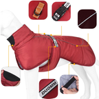 Manteau Hiver pour Grand Chien