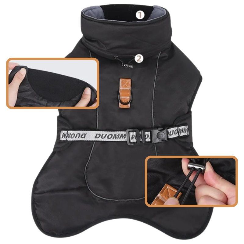 Manteau Hiver pour Grand Chien
