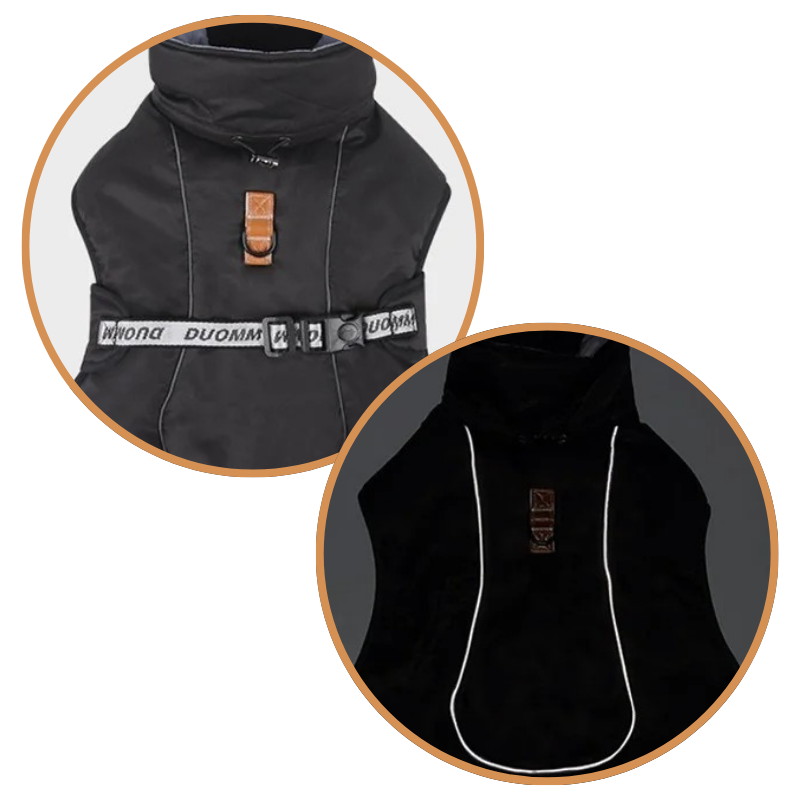 Manteau Hiver pour Grand Chien