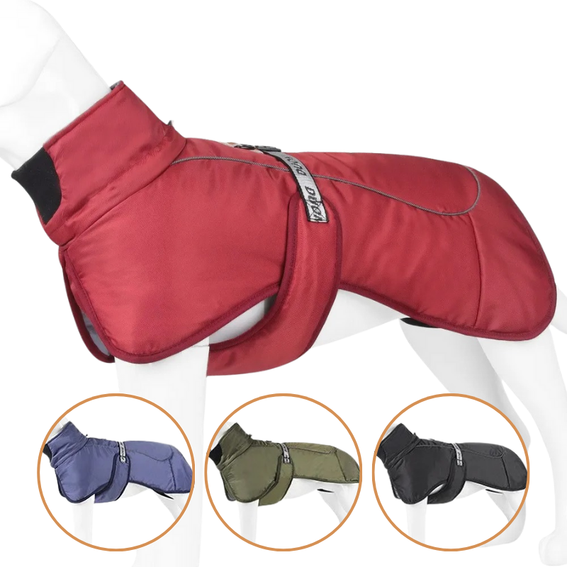 Manteau Hiver pour Grand Chien
