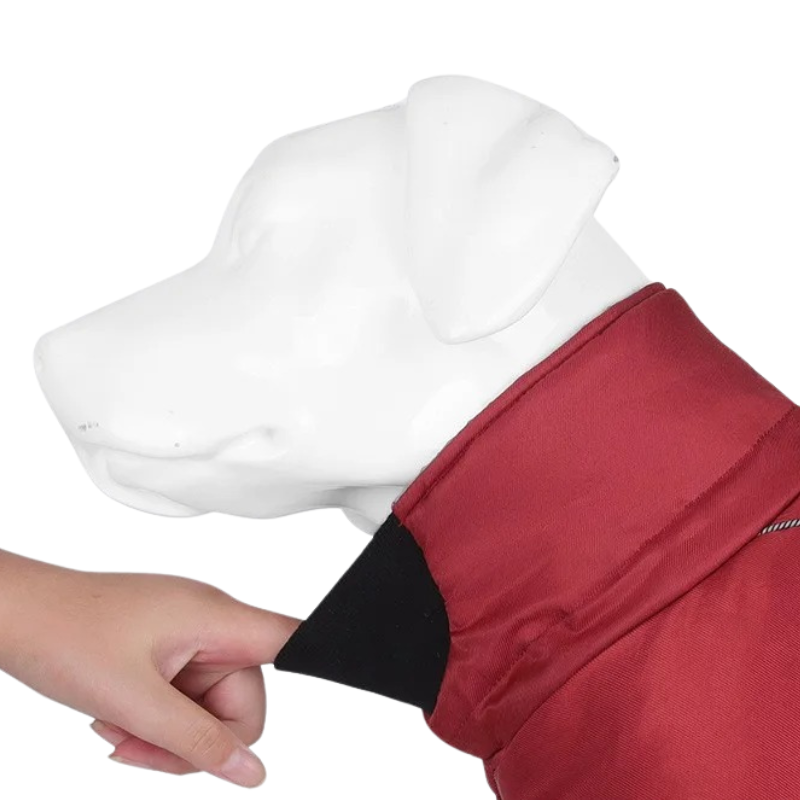 Manteau Hiver pour Grand Chien