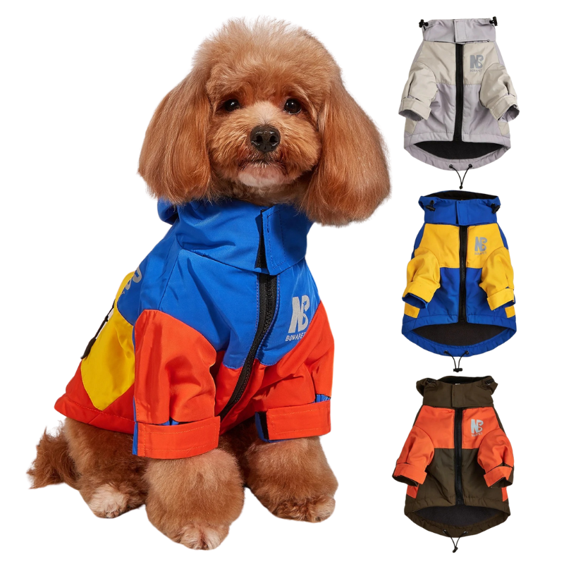 Manteau Imperméable et Coupe-Vent Pour Chien