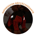 Manteau Imperméable et Coupe-Vent Pour Chien