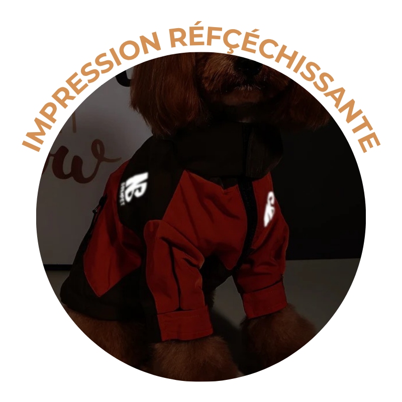 Manteau Imperméable et Coupe-Vent Pour Chien