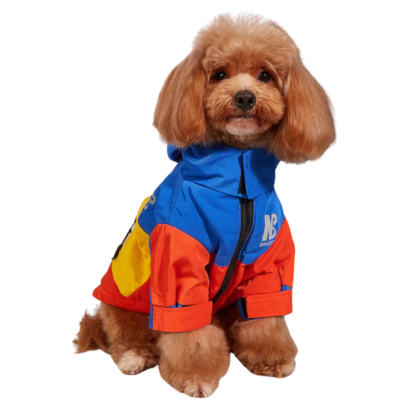 Manteau Imperméable et Coupe-Vent Pour Chien