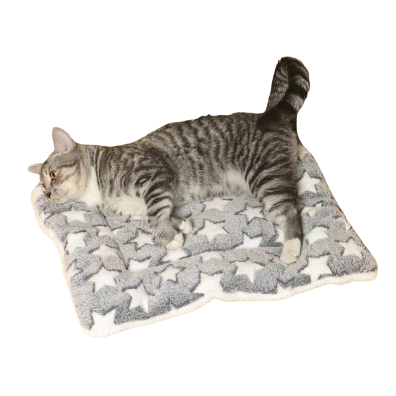 Matelas Flanelle Chien Chat