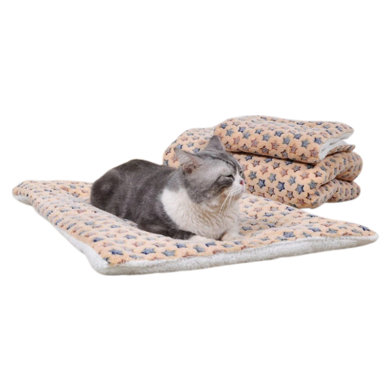 Matelas Flanelle Chien Chat
