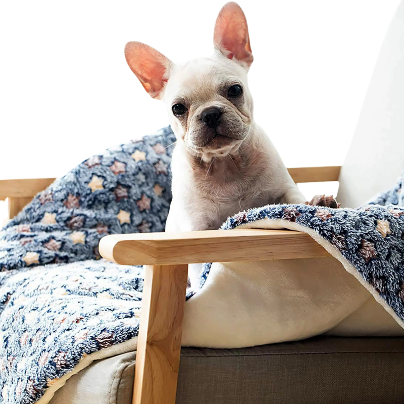 Matelas Flanelle Chien Chat