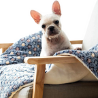 Matelas Flanelle Chien Chat