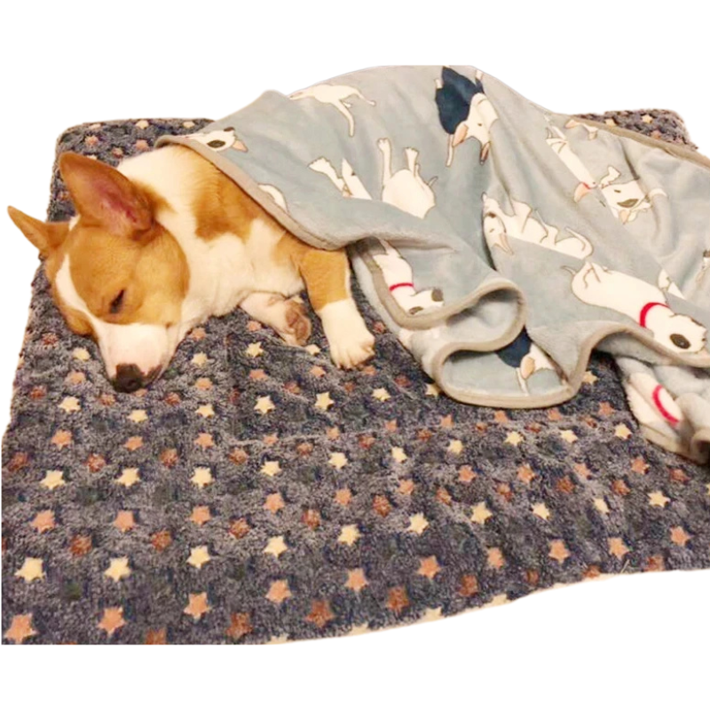 Matelas Flanelle Chien Chat