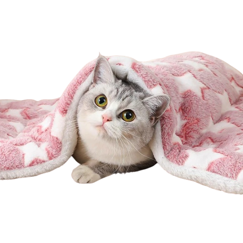 Matelas Flanelle Chien Chat