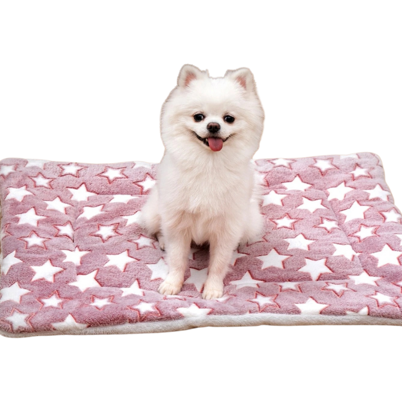 Matelas Flanelle Chien Chat