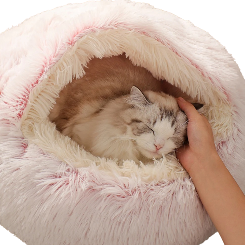 Nid Douillet pour Chien et Chat