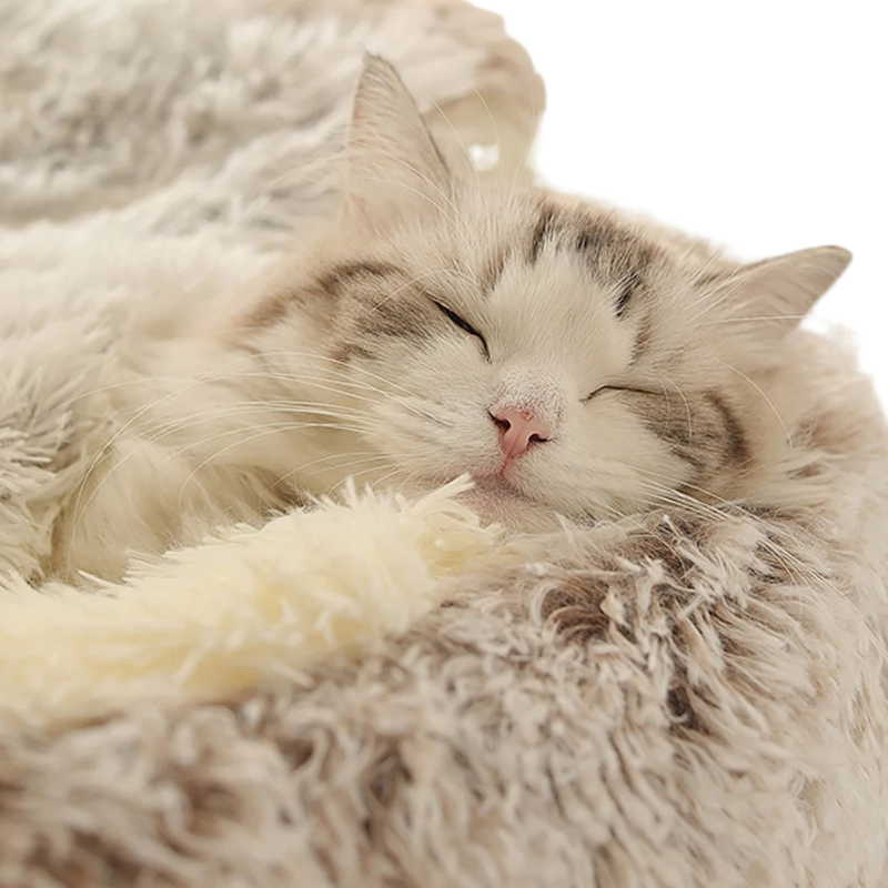 Nid Douillet pour Chien et Chat