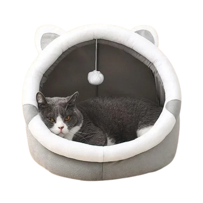 Nid pour Chat avec Balle