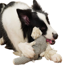 Peluche Gros et Sonore pour Chien