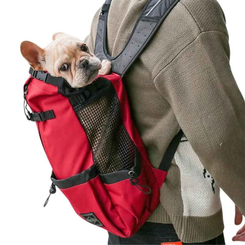 Sac à Dos Sécurisé Pour Transporter Les Chiens