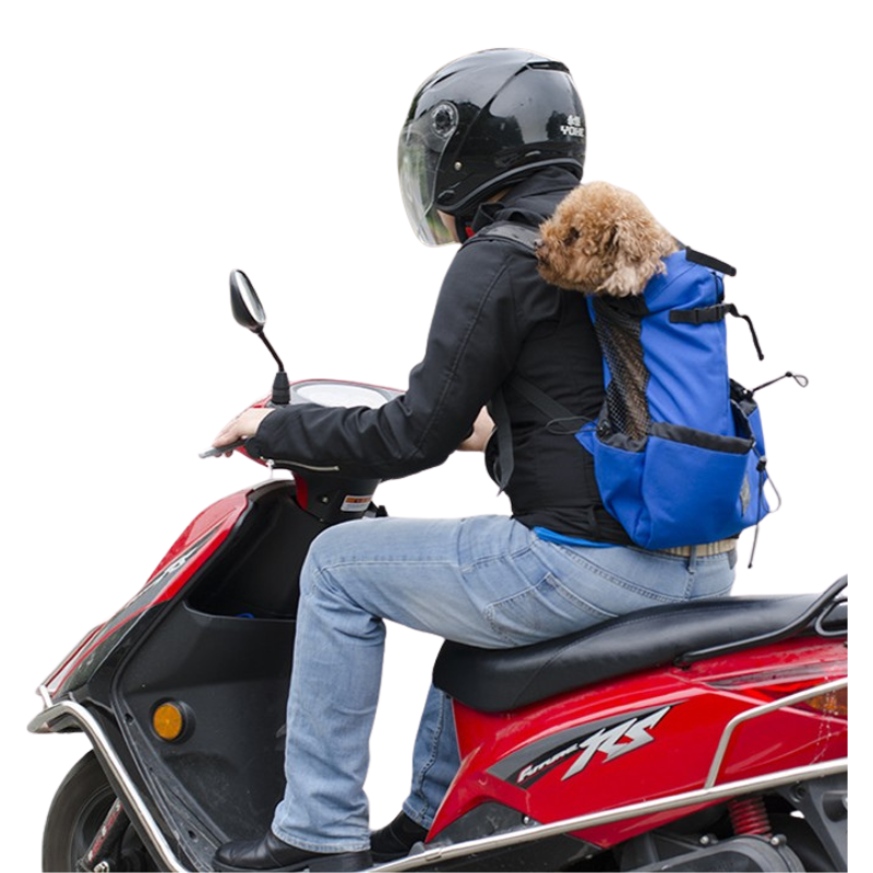 Sac à Dos Sécurisé Pour Transporter Les Chiens
