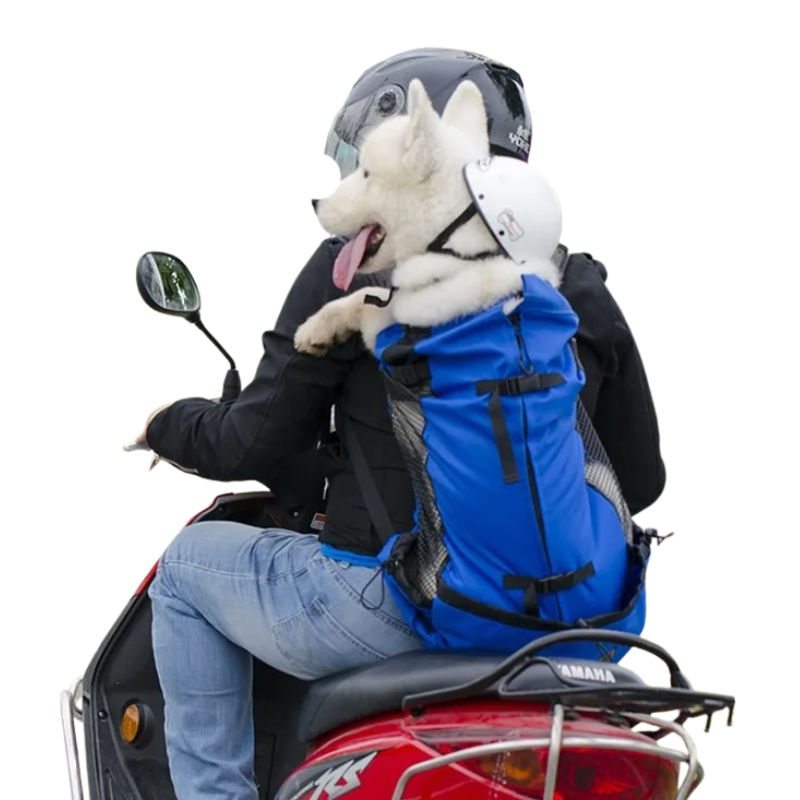 Sac à Dos Sécurisé Pour Transporter Les Chiens