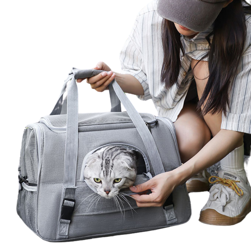 Sac de Transport Petit Chat