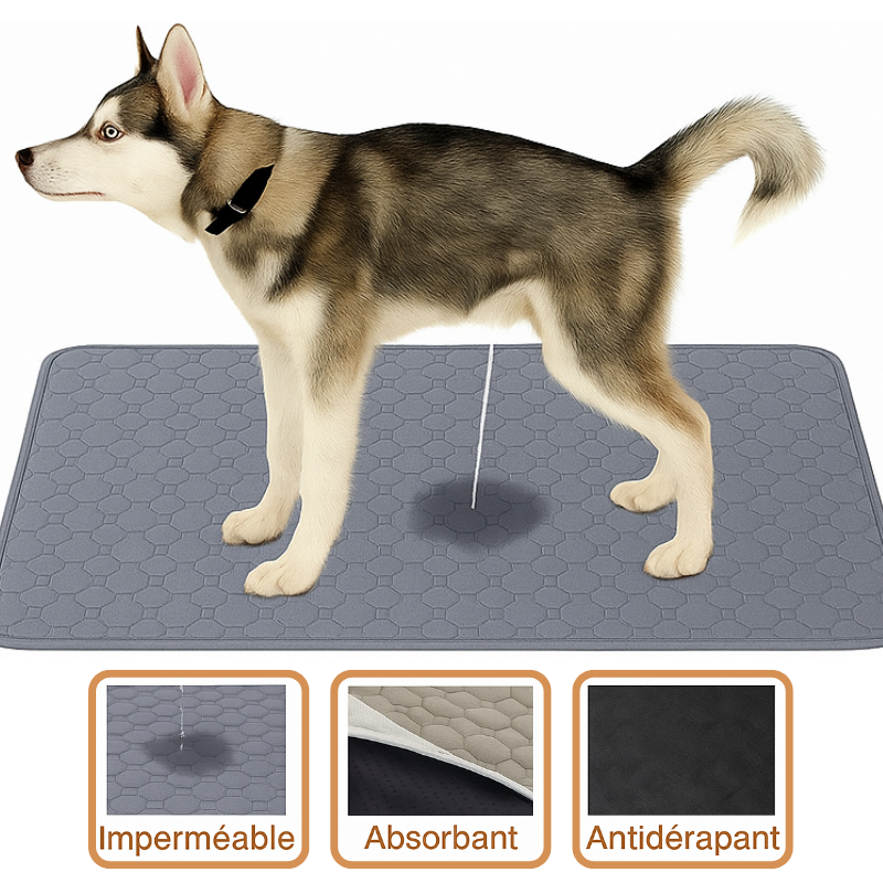 Tapis Absorbant Chien Lavable
