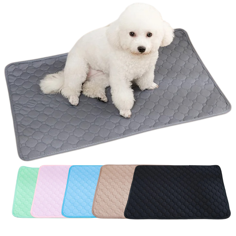 Tapis Absorbant Chien Lavable