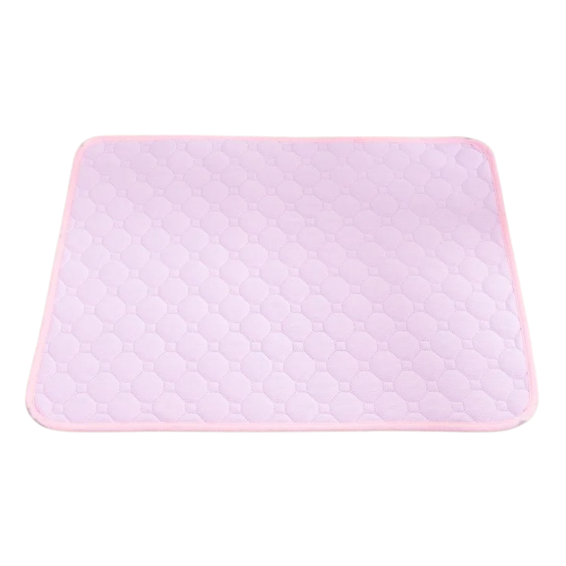 Tapis Absorbant Chien Lavable