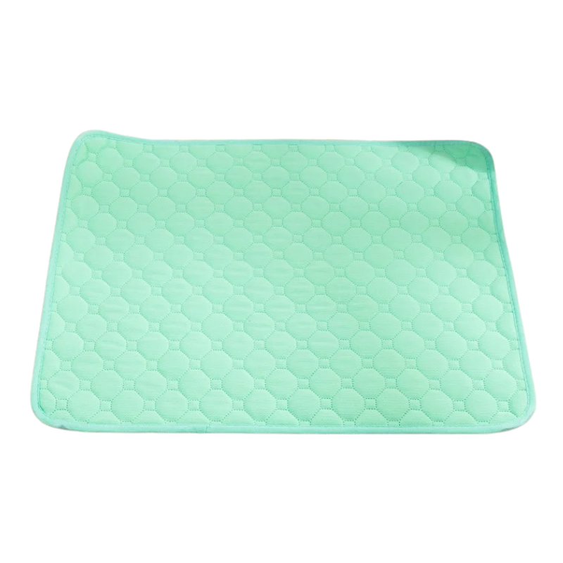 Tapis Absorbant Chien Lavable