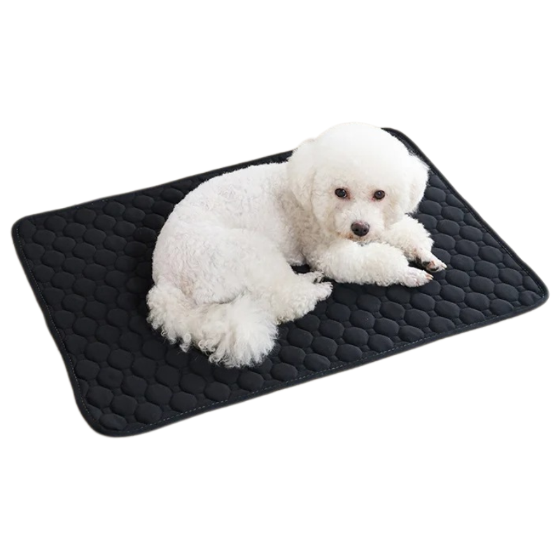 Tapis Absorbant Chien Lavable