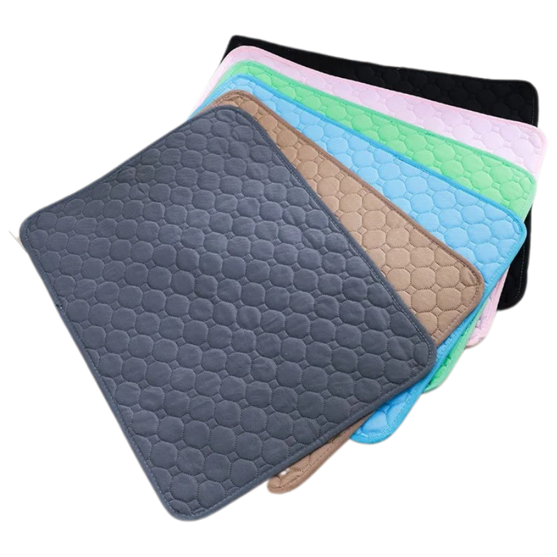 Tapis Absorbant Chien Lavable