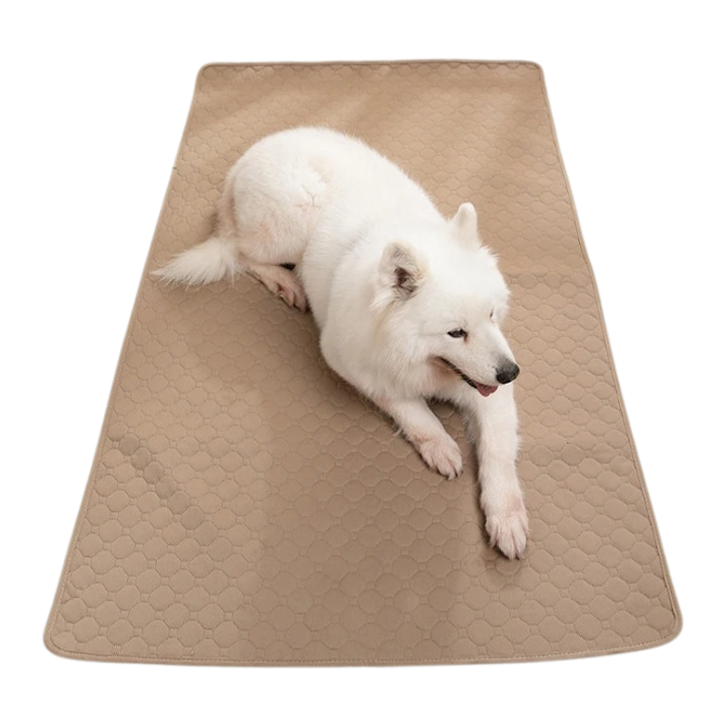 Tapis Absorbant Chien Lavable