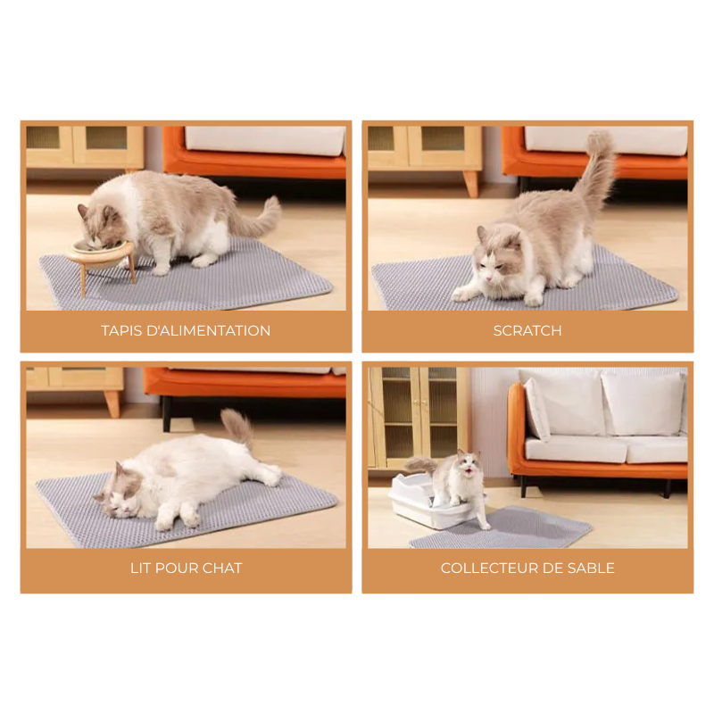 Tapis Litiere Chat