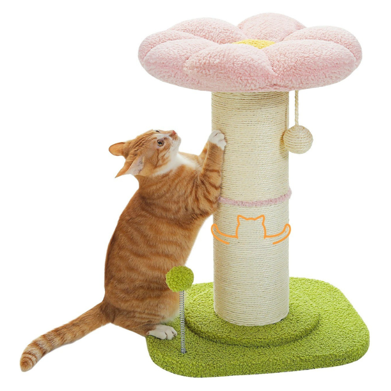 Tour à Griffer Pour Chat Avec Lit