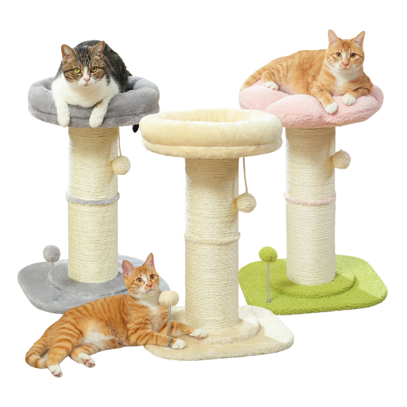 Tour à Griffer Pour Chat Avec Lit