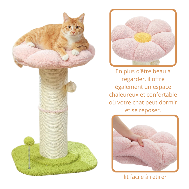Tour à Griffer Pour Chat Avec Lit