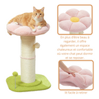 Tour à Griffer Pour Chat Avec Lit